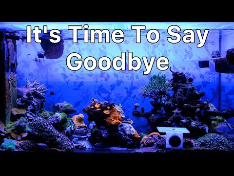 Shutting Down My 6 Year Old Reef Tank