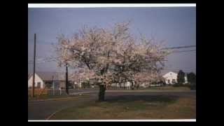 TACHIKAWA AIR BASE JAPAN Then (1969) and Now 2003