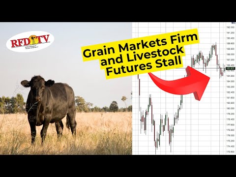 Grain Markets Firm and Livestock Futures Stall