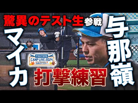 【※獲得見送】米独立リーグ24HR日本に所縁のあるマイカ与那嶺 打撃練習参戦＜11/9ファイターズ秋季キャンプ2024＞