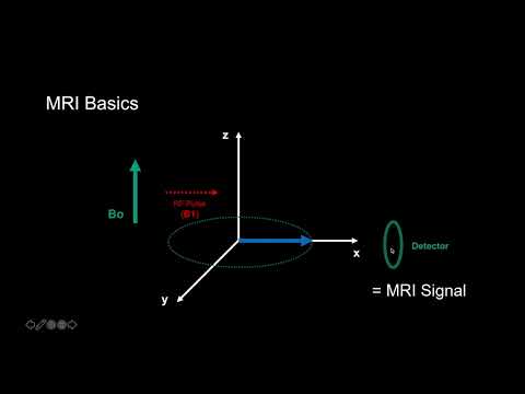 Introduction to MRI: Basics 1 - How we get Signal