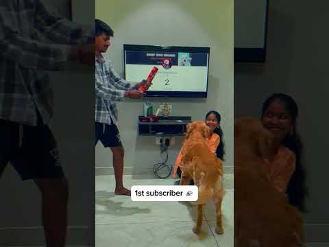 Dogs first subscriber♥️ | wait for end