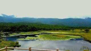 Japan Walk - Shiretoko National Park (知床五湖/知床国立公園) - Hokkaido