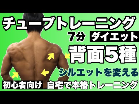 【初心者向け】シルエットを変える背面5種目7分間のチューブトレーニング！