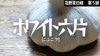 第５回［ニンニク］ホワイト六片　218日間の栽培記録