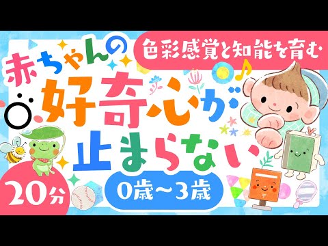 【赤ちゃんが喜ぶ音楽】赤ちゃんの好奇心が止まらない│赤ちゃんが泣き止む 笑う 喜ぶ 寝る│0歳1歳2歳3歳の知育アニメ│乳児・幼児向け知育動画【子供の歌】