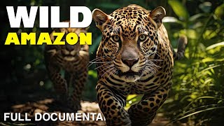 Wild Amazon - Mystery of The Most Fearsome Predators | Nature Documentary