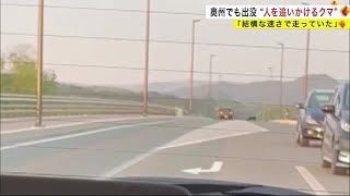 奥州市では　“人を追いかけるクマの姿”が映像に　「結構な速さで走っていた」＜岩手県＞ (23/05/04 20:00)