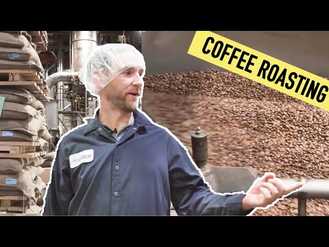 How Coffee Is Made: Steps of Harvesting and Roasting (Coffee 101)