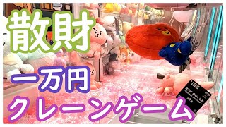 【散財】クレーンゲームをやってきた！ウラ技を使って色んな景品ゲット！BTS・まいぜん・ワンピース・マイクラ・風都探偵・ポケモン・ウマ娘・ミニオン・おさるのジョージ