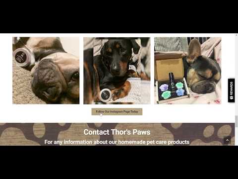 Thor's Paws New Website