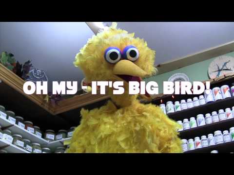 Fenelon Falls Halloween Big Bird