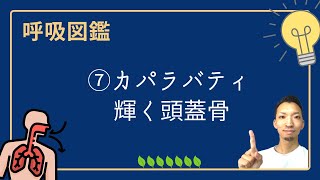 【呼吸図鑑】⑦カパラバティ・輝く頭蓋骨 | 脳のひらめき力を上げて疲れづらい体を手に入れる！