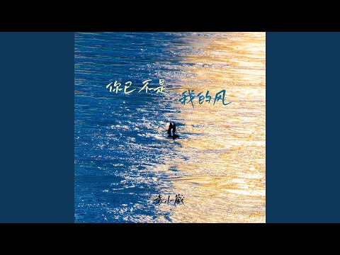 你已不是我的风 (Dj九零版)