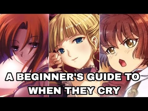 A Beginner's Guide to When They Cry