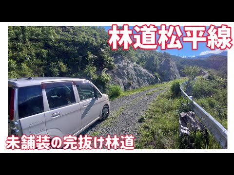 【ドライブ動画】林道松平線　未舗装の完抜け林道