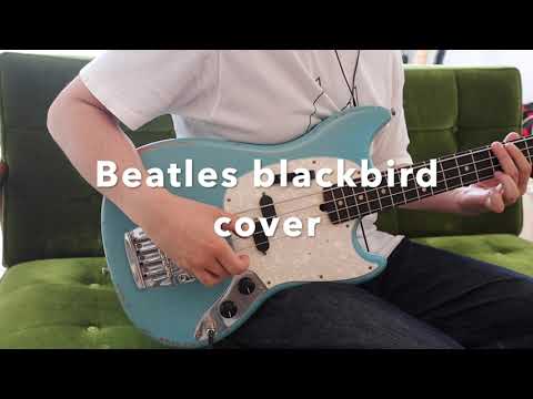 The Beatles Blackbird Bass cover