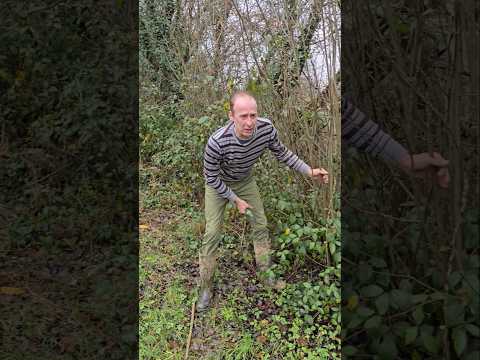 Willow Cuttings #treeplanting #reforestation #nativetrees #adventure #explore #ideas #motivation