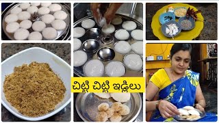 పిల్లలకు break fast కి ఇలా వెరైటీ గా చిట్టి చిట్టి ఇడ్లిలు చేసి పెట్టండి చాలా ఇష్టగా లాగించేస్తారు