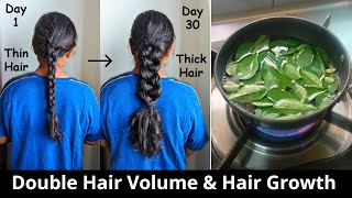 Curry Leaves for Thick Hair Growth | Increase Hair Volume & Hair Density - Curry Leaves Hair Oil