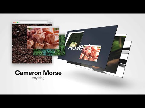 Cameron Morse - Anything