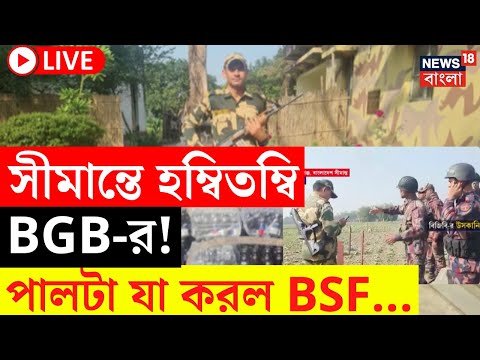 LIVE | India Bangladesh Border | সীমান্তে হম্বিতম্বি BGB-র! পালটা যা করল BSF... | Bangla News