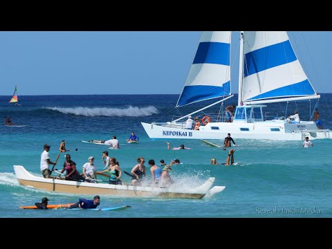 Waikiki Surf Contest (Sep 23, 2023)   4K