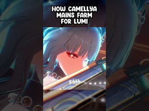 HOW CAMELLYA MAINS FARM FOR LUMI