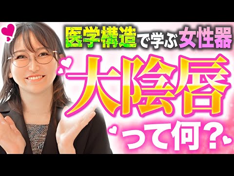 【医学構造から】99%の男性が理解してない女性の"大陰唇"を医師が解説