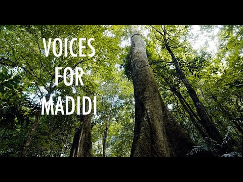 Short Film Trailer: Voices for Madidi. Directed by Jonathan Derksen