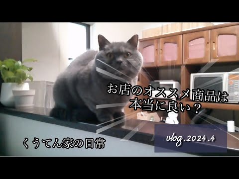 【暮らしのvlog】お店のおすすめ商品は本当に良い？/40代主婦/飾らない暮らし