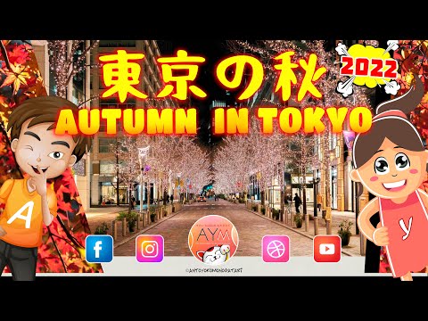 🍁 In giro per Tokyo in Autunno 🍁 Autumn in Tokyo 🍁 秋 Shinjuku Shibuya Asakusa Ueno 黄葉