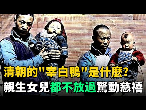 清朝的"宰白鴨"是什麼？連親生女兒都不放過，驚動慈禧！福建人談之色變