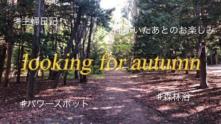 【VLOG】北海道神宮へ/四季を楽しむ/森林浴/北の国から