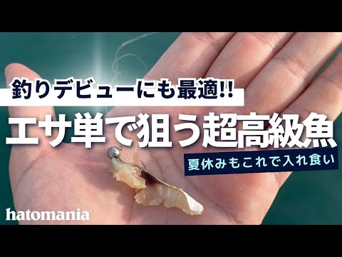 釣りを始めるならこの釣り方！簡単なのに高級魚も釣れる方法はこれだ！