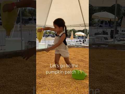 Pumpkin patch fun 🌾🌽 first pumpkin patch this year #shorts #shortfeed #viral #mom #pumpkinpatch