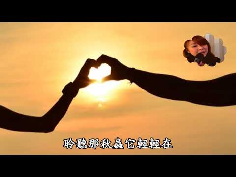 《我和你   陳佳》