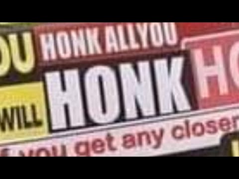 Honk