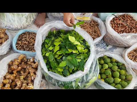 Kaffir Lime Leaves (Citrus hystrix)