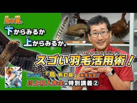 【図鑑MOVEミニ講義②】鳥の羽毛について鳥類学者・川上和人先生が解説！