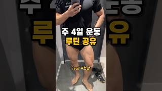 주 4일 운동 루틴 공유합니다. #4분할