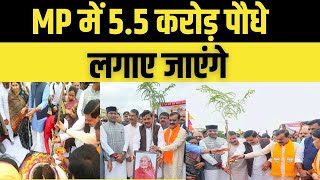 MP News : Madhya Pradesh में 5.5 Crore पौधे लगाए जाएंगे | CM Dr. Mohan Yadav | V. D. Sharma | BJP