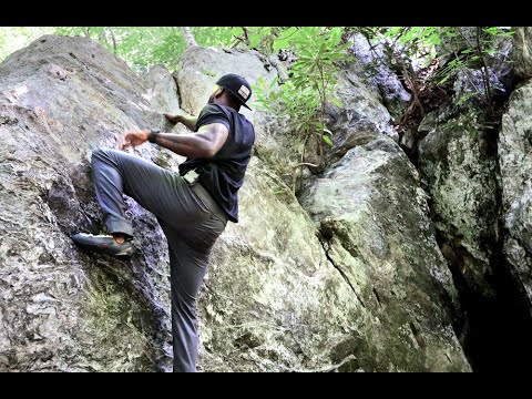 Venturing Out: Park 2 Park | Episode 4: Treetop Adventure in Asheville, North Carolina