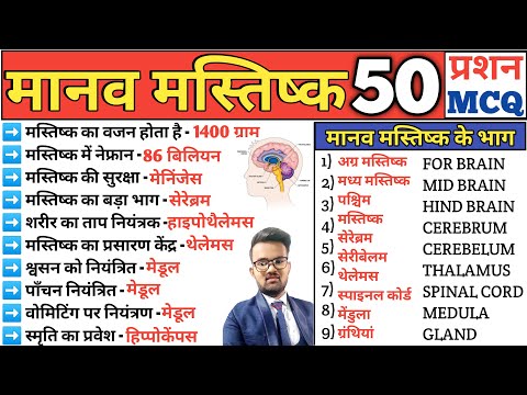 Brain | मस्तिष्क | Brain MCQ | Structure of Brain | Functions of Brain | Science gk | Gk Science MCQ