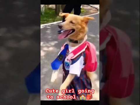 #shorts #viralvideo #trending #funnyvideo 😀2024 School 🏫🎒