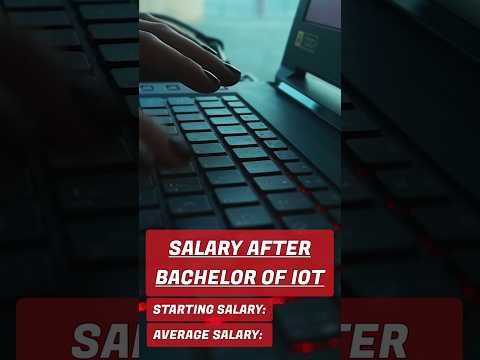 Salary after Bachelor of IOT