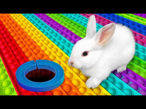 Bunnies Escape the Rainbow Pop it Maze