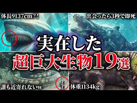 【閲覧注意】地球に実在する"あまりにも怖すぎる"超巨大生物19選【闇が深すぎる】