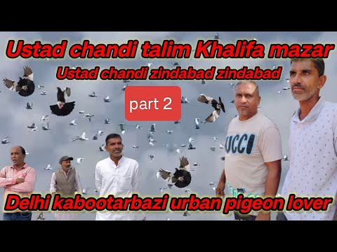 ustad chandi Khalifa mazar Delhi kabootar lover urban pigeon