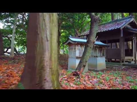 薬王寺白鬚神社　2024年12月